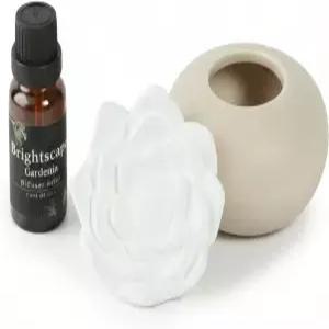 향기플로우 패시브 아로마 디퓨저 스타터 키트 - 사무실 책상 사우나 및 가정용 소형 에센셜 오일 테라피