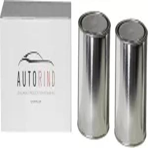 오토린드 메탈 쿼트 사이즈 페인트 캔(2팩) 뚜껑 은색 및 100 재활용 가능한 빈 품질의 양철판 언라이닝 캔