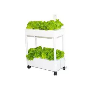 수경 수직농장새싹삼 실내식물 인삼 도시농업 재배기