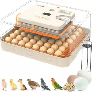 부화란 인큐베이터 자동 계란 회전 온도 및 습도 조절 기능이 있는 56개의 LED 캔들러 인큐베이션 데이