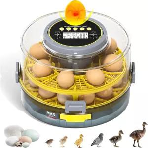 부화 알을 위한 IBKINXX 달걀 인큐베이터 - 자동 터너 온도 및 습도 조절 LED 캔들러 닭 오리 메추라기