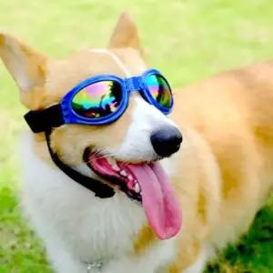 강아지 선글라스 안경 라이더 고글 vWn5+3ozf