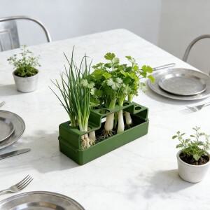 플라스틱 부추 묘목 트레이 셀러리 수경 재배기 통풍 코리안더 가정용