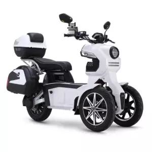 역삼륜오토바이 전기스쿠터 앞바퀴 삼륜 삼토바이 60V