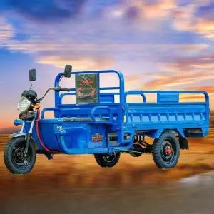 삼륜차 초소형 삼토바이 전기트럭 전기차 농사용 미니