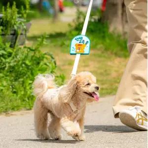 강아지 산책필수템 찍찍이태그 패션패치 악세사리