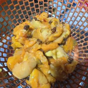 FD 봄 제철 깐 멍게 500g 당일작업 산지직송