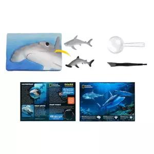 화석발굴완구 대 교육 학습 상어 키즈완구 장난감 아동교구 동물 피규어