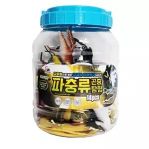 곤충피규어 학습완구 거미 교육완구 곤충교구 곤충모형 아동 곤충장난감