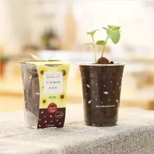 컵 가든 씨앗 키우기 세트 화분 재배 키트 바질 방울토마토 꽃 채소 어린이
