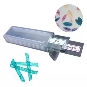 현미경관찰 표본 해캄 짚신벌레 2종 프레파라트 과학키트 방과후 초등고학년 엄마표