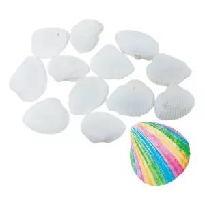 어항꾸미기 화석재료 조개껍데기 신기한과학 만들기세트 홈스쿨링 자연학습 소라껍질