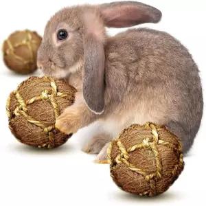 선그로우 기니피그 코코넛 섬유 볼 구강 개선 환경 친화적 스트레스 제 토끼 친칠라 고양이 씹기 템에