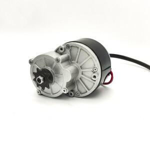 MY1016Z 24V/36V 250W/350W 브러시드 기어 DC 모터 (전기 자전거/비치 카트/휠체어 개조 키트용, 고토크)