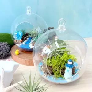 이오난사 모스식물 클레이 투명볼 테라라움 만들기 여름 복지관 꾸미기 교육교구 미술재료