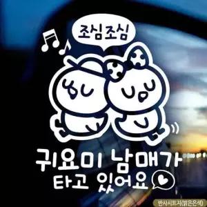 병아리 자동차스티커 귀요미남매가타고있어요 반사
