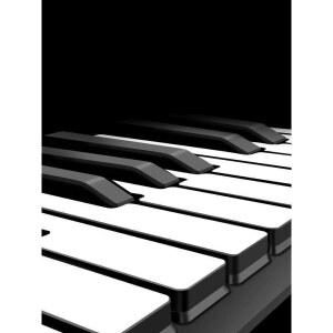 입문용 휴대용 88건반 건반 휴대용피아노 아이 페달 핸드롤피아노 충전식 도서관