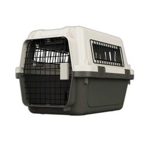 애견 항공케 이동장 스 켄넬 카시트 S 휴대용 기내탑승 주전자 웰시코기 S사이즈