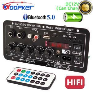 Woopker 전력 증폭 보드 D10C 30W-120W 듀얼 마이크 BT 5.0 서브우퍼 충전식 배터리 모듈 가라오케
