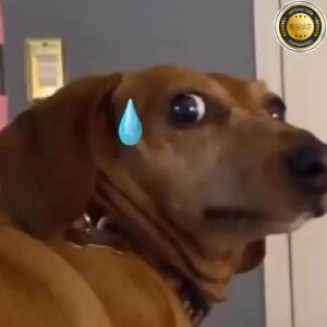 Windows 7 8 10 Vista용 은행 ID 카드 리더기용 US2.0 스마트