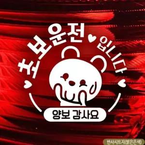 초보운전입니다 반사 아기곰 초보자동차스티커