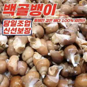 [푸디픽] 동해안 자연산 활 백골뱅이 1kg 대 (15-25미)