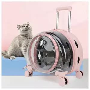 마이펫 투명 캐리어 이동가방07