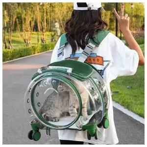 마이펫 투명 백팩 캐리어 이동가방02