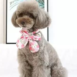 강아지 스카프 L 3색 애견 악세사리 목도리 머플러 강아지악세사리 애견악세사리