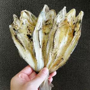 조미 대구 노가리 1kg 구이 안주 가맥 / 쫀득 고소 편 건어물