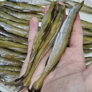 반건조 조미 손질 노가리 앵치 200g x 2팩