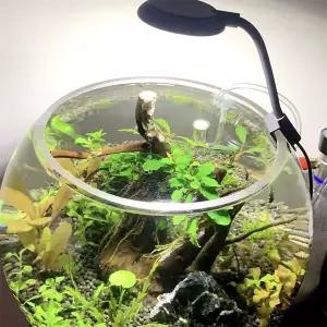 수족관 어항 USB 소형 클립 조명 미니 LED 고휘도 물 잔디 보조 투명