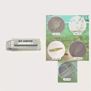 아메바 짚신벌레등 고정밀 원생생물 프레파라트 5종 교육용 학교과학 실험도구 교구