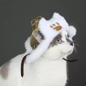 아이루 모자 실물 고양이 와일즈 의상 촬영 동물 프레 몬헌