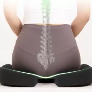 체중분산 트렌드 도넛 엉덩이 골반 꼬리뼈방석 신상