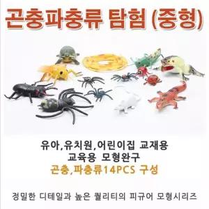 [제이커머스]곤충 파충류 과학 중형 피규어 교육 모형완구 교구 파충류피규어 파충류모형 공룡모형완구 공