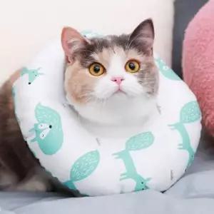 도넛 넥카라 S 아쿠아폭스) 고양이넥카라 고양이쿠션 고양이목쿠션 고양이목보호