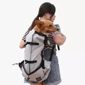 [반려] 강아지 라이더 배낭 S 1P 반려견 방수 라이딩 가방