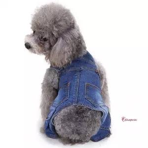 강아지옷 봄옷 강아지 사이드 청멜빵바지 포켓 자켓 가을qrs949