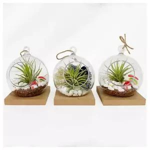 만들기 4인용 창의교구- 테라리움 실습교구