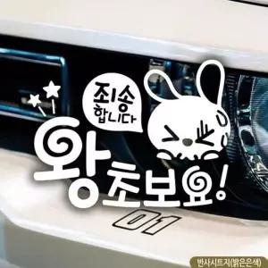 초보자동차스티커 왕초보요 죄송합니다 반사 차량용스티커