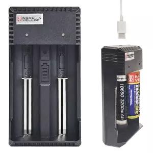 [베스트TOP100] 우신 엘리트2구 배터리충전기 WS558 C타입 리튬이온