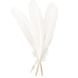 50pcs 흰색 깃털 8~10인치, 공예용 아름다운 벌크 롱 21-25CM , 빅 사이즈 양면 천연 거위 깃털, 웨딩드레스 및 파티 장식용, DIY 수공예품 제작(화이트)