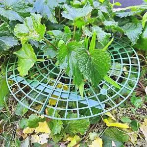 해충방지 딸기 모종 재배 받침대 과일 작물 트레이