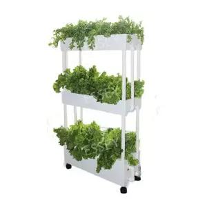 집에서 오이 야채 재배기 채소 식물 만들기 세트 가정용 수경 키우기 상추