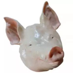 가짜 돼지머리 모형 인테리어 고사용 머리 제사 인조