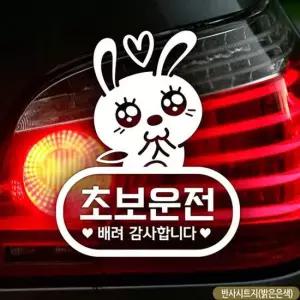 애교토끼 반사 초보운전 초보자동차스티커 차량용스티커