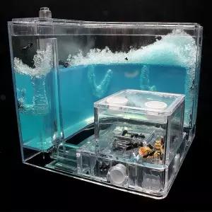 개미하우스 ㄱ자형 관찰 세트 곤충키우기 취미 교구