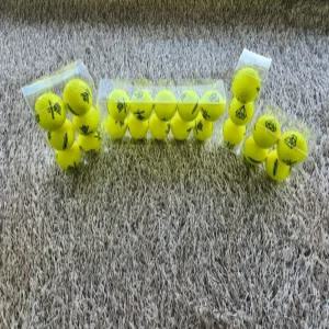 골프공 다이아윙스 M5 장타 비거리 고반발 볼 유광옐로우 10구 (투명케이스