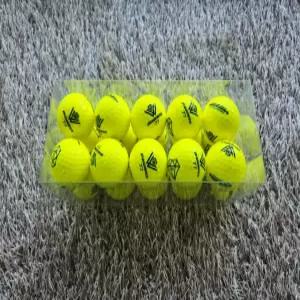 골프공 다이아윙스 M5 장타 비거리 고반발 볼 유광옐로우 20구 (투명케이스